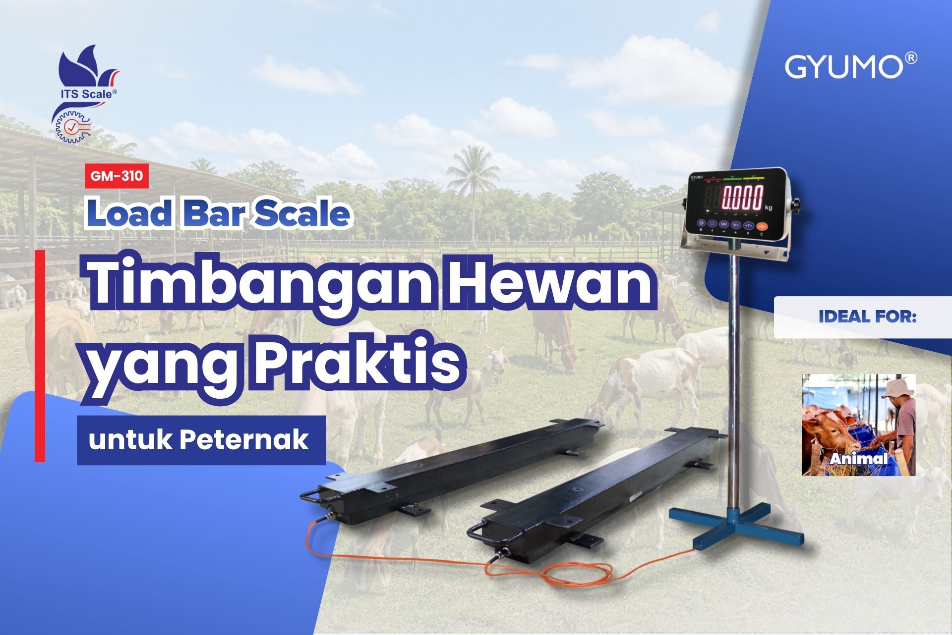 Timbangan Hewan yang Praktis untuk Peternak